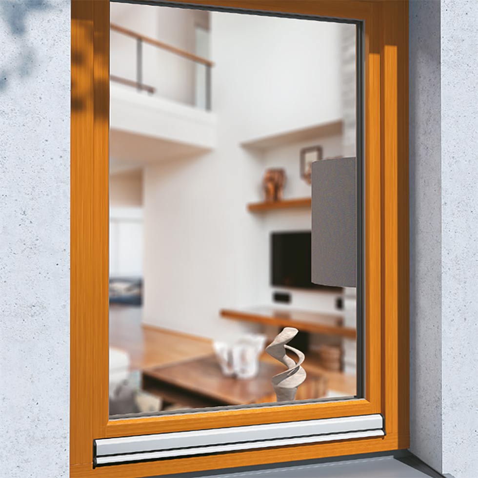 Fenster